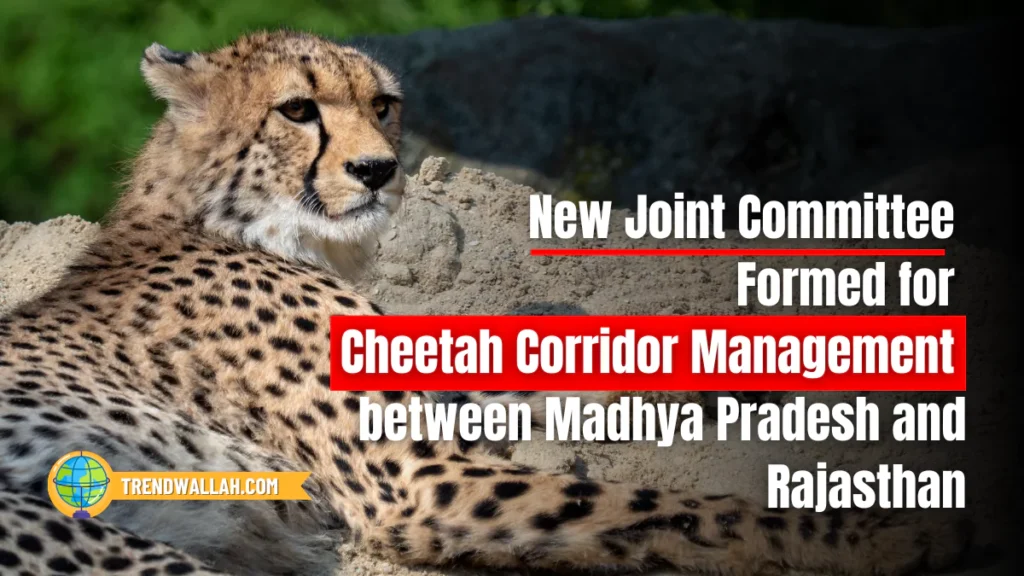 Cheetah Corridor Management