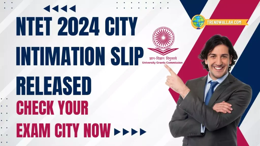 NTET 2024 City Intimation Slip